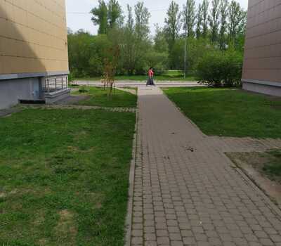 Стрижка газона